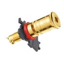 WBT Polklemme Classic, 24 Karat Goldbeschichtet WBT-0730.01