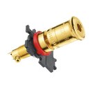 WBT pole terminal classic WBT-0763